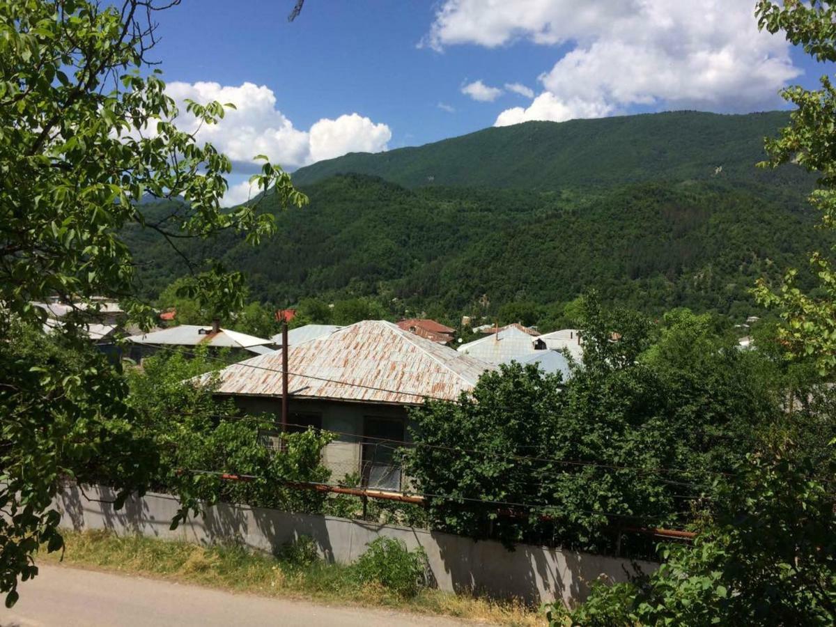 Villa Portina Ambrolauri Εξωτερικό φωτογραφία